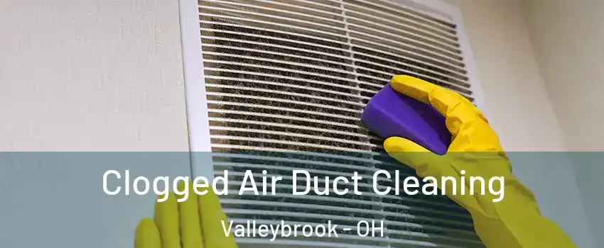 Clogged Air Duct Cleaning Valleybrook - OH