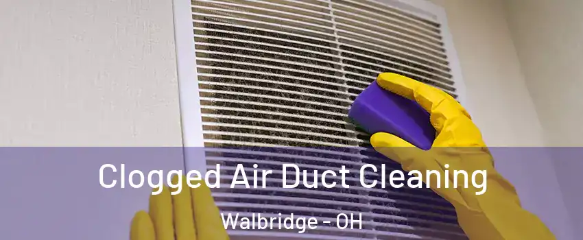 Clogged Air Duct Cleaning Walbridge - OH