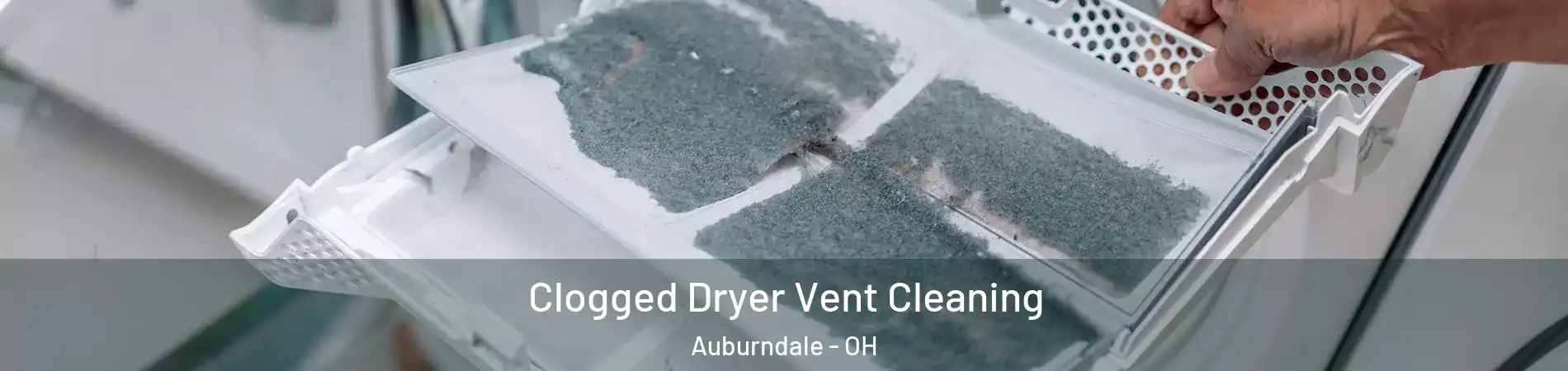 Clogged Dryer Vent Cleaning Auburndale - OH