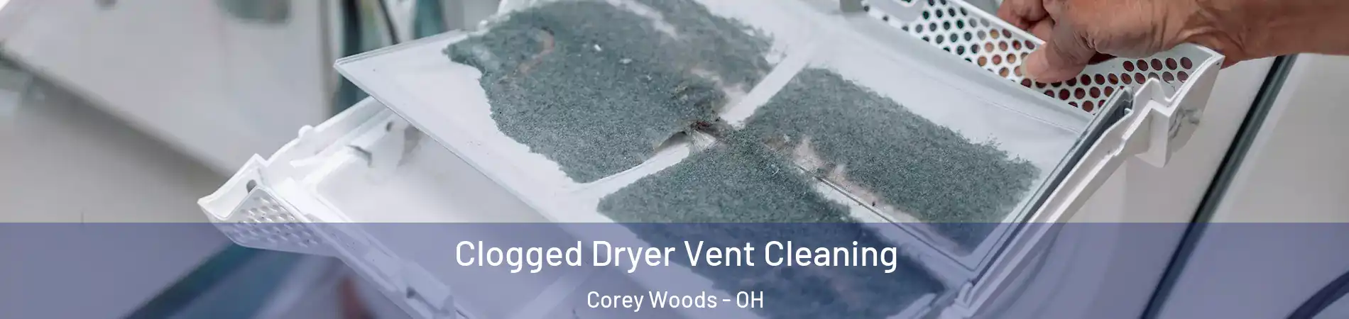 Clogged Dryer Vent Cleaning Corey Woods - OH