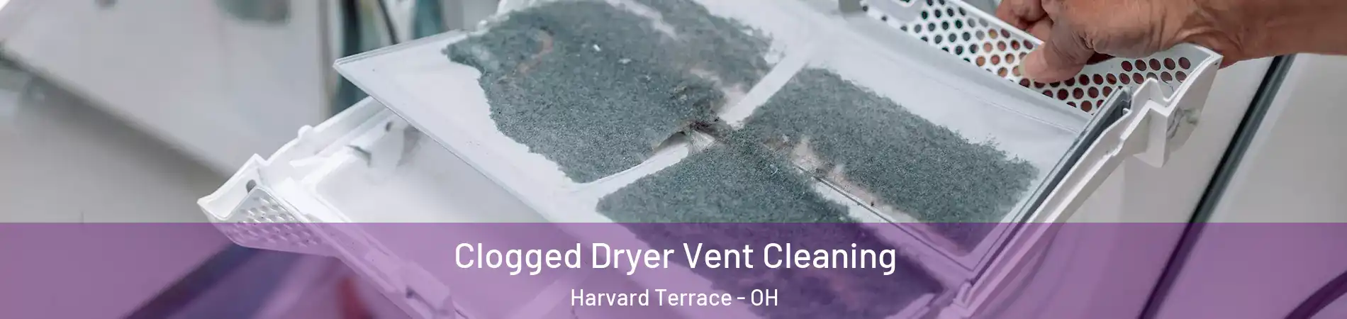 Clogged Dryer Vent Cleaning Harvard Terrace - OH
