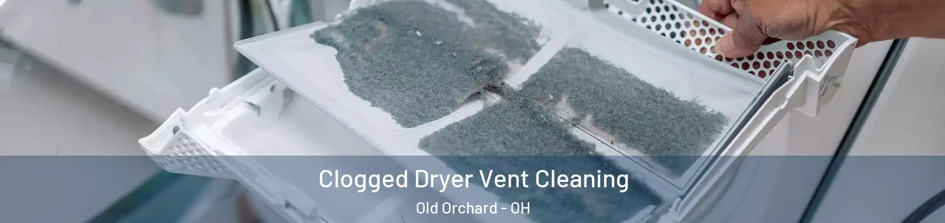 Clogged Dryer Vent Cleaning Old Orchard - OH