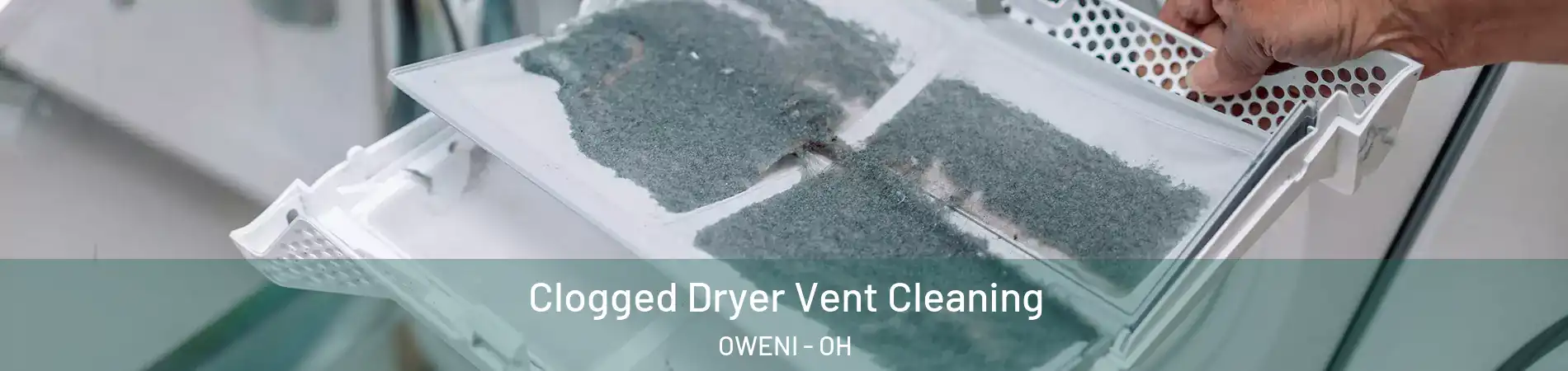 Clogged Dryer Vent Cleaning OWENI - OH