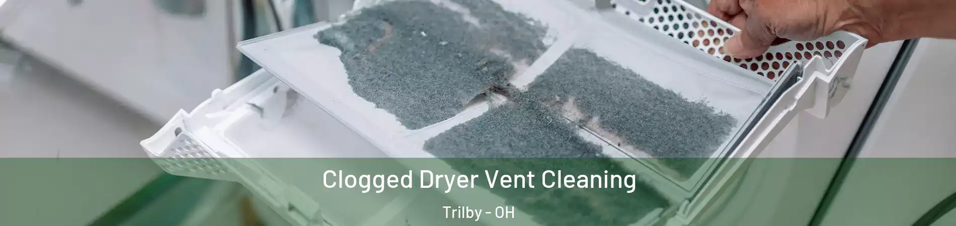 Clogged Dryer Vent Cleaning Trilby - OH