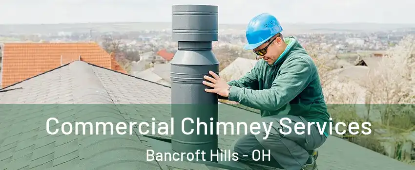 Commercial Chimney Services Bancroft Hills - OH