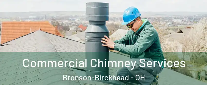 Commercial Chimney Services Bronson-Birckhead - OH
