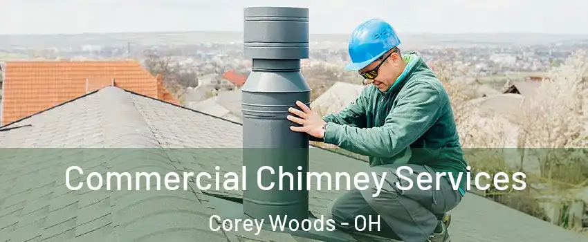 Commercial Chimney Services Corey Woods - OH