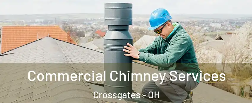 Commercial Chimney Services Crossgates - OH