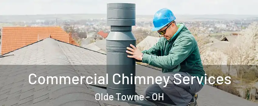 Commercial Chimney Services Olde Towne - OH
