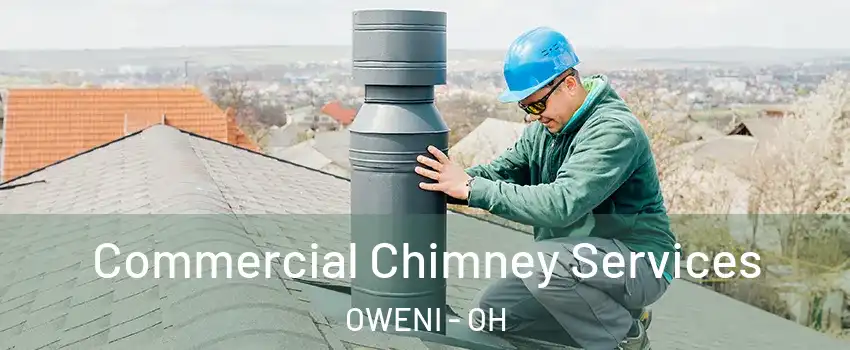 Commercial Chimney Services OWENI - OH