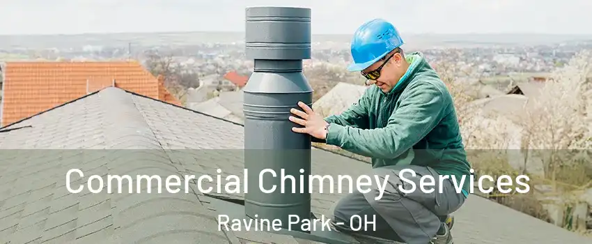 Commercial Chimney Services Ravine Park - OH