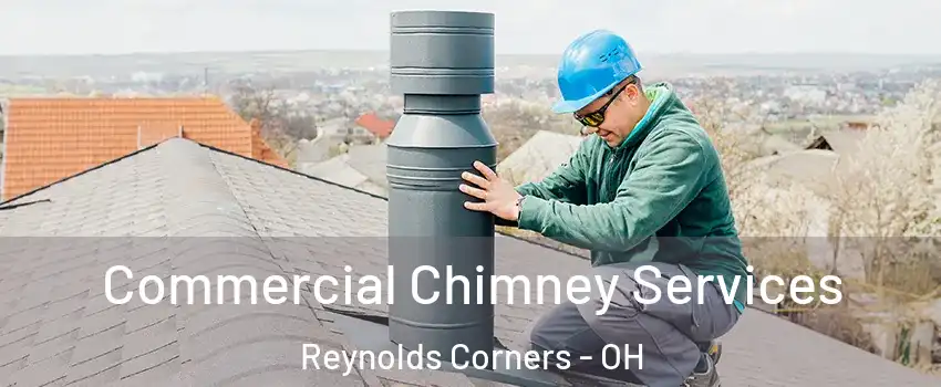 Commercial Chimney Services Reynolds Corners - OH