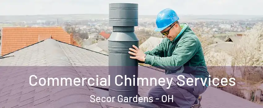 Commercial Chimney Services Secor Gardens - OH