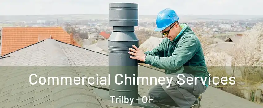 Commercial Chimney Services Trilby - OH