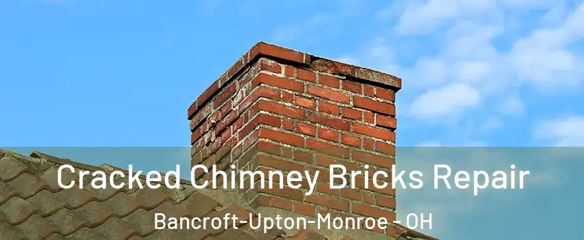 Cracked Chimney Bricks Repair Bancroft-Upton-Monroe - OH
