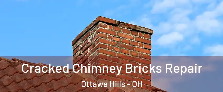Cracked Chimney Bricks Repair Ottawa Hills - OH