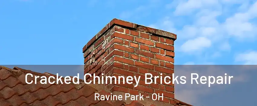 Cracked Chimney Bricks Repair Ravine Park - OH