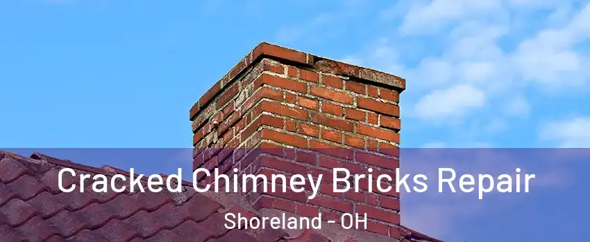 Cracked Chimney Bricks Repair Shoreland - OH