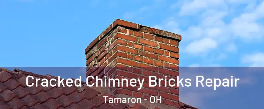 Cracked Chimney Bricks Repair Tamaron - OH