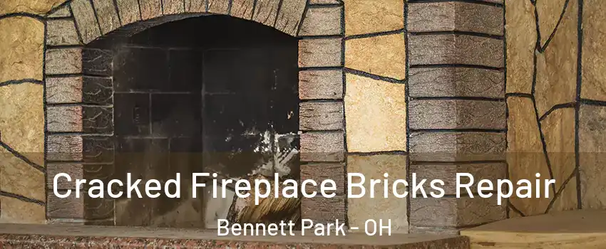 Cracked Fireplace Bricks Repair Bennett Park - OH