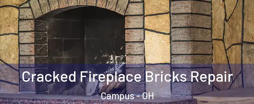 Cracked Fireplace Bricks Repair Campus - OH