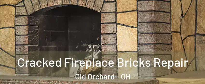Cracked Fireplace Bricks Repair Old Orchard - OH