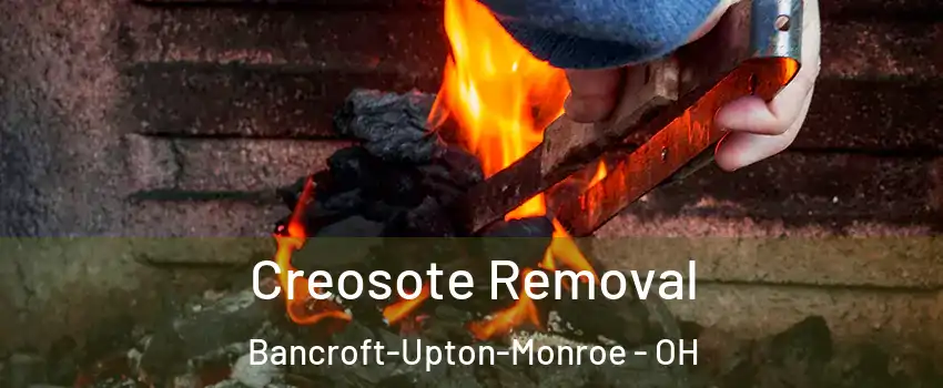 Creosote Removal Bancroft-Upton-Monroe - OH