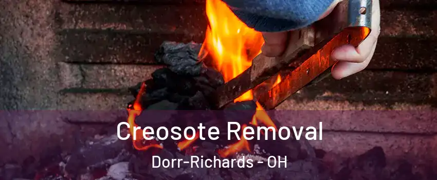 Creosote Removal Dorr-Richards - OH