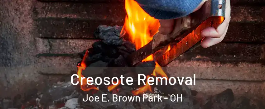 Creosote Removal Joe E. Brown Park - OH