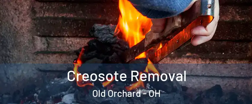 Creosote Removal Old Orchard - OH