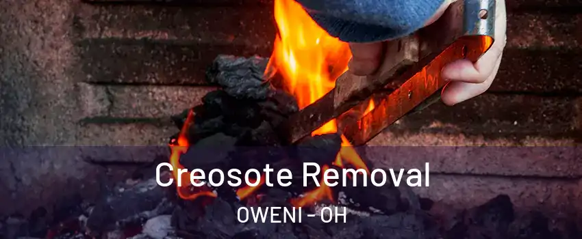 Creosote Removal OWENI - OH