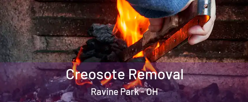 Creosote Removal Ravine Park - OH
