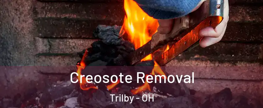 Creosote Removal Trilby - OH