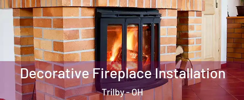 Decorative Fireplace Installation Trilby - OH