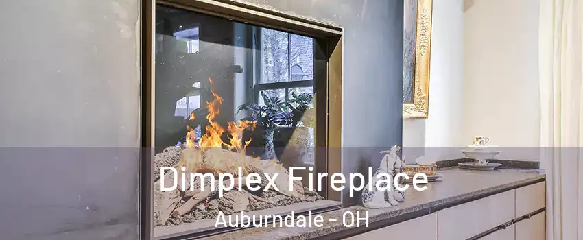 Dimplex Fireplace Auburndale - OH