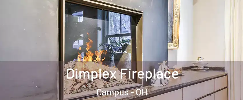 Dimplex Fireplace Campus - OH