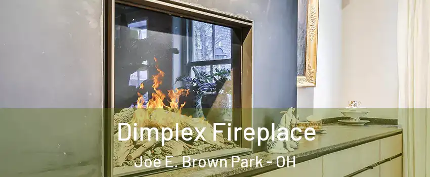 Dimplex Fireplace Joe E. Brown Park - OH