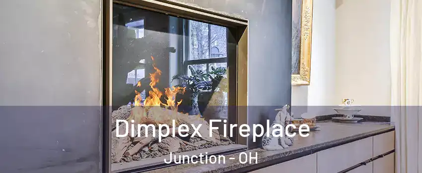 Dimplex Fireplace Junction - OH