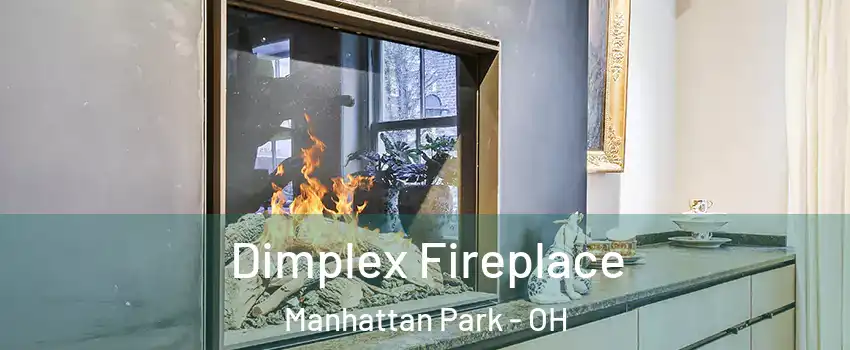 Dimplex Fireplace Manhattan Park - OH