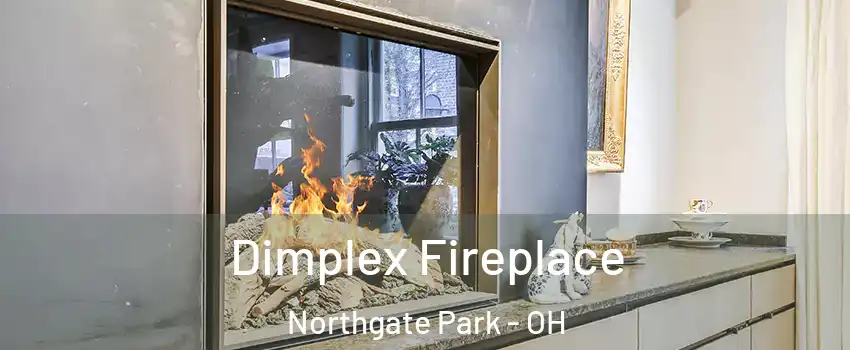 Dimplex Fireplace Northgate Park - OH