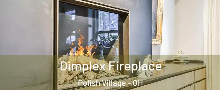 Dimplex Fireplace Polish Village - OH