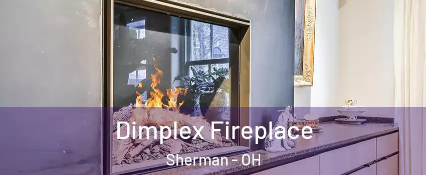Dimplex Fireplace Sherman - OH