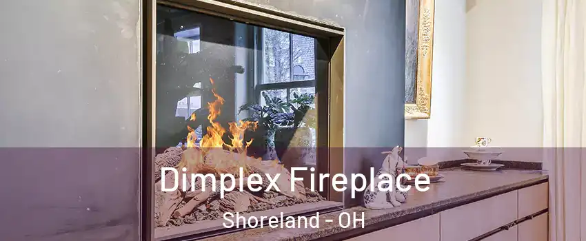 Dimplex Fireplace Shoreland - OH