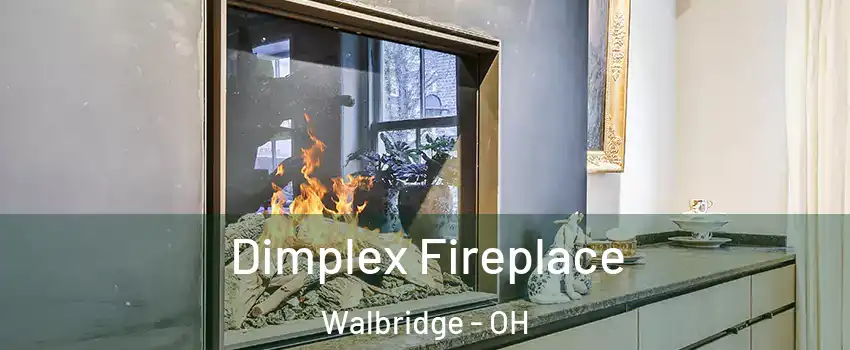 Dimplex Fireplace Walbridge - OH