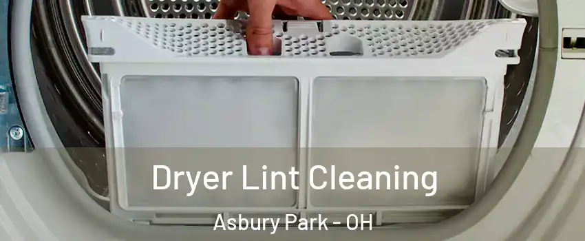 Dryer Lint Cleaning Asbury Park - OH
