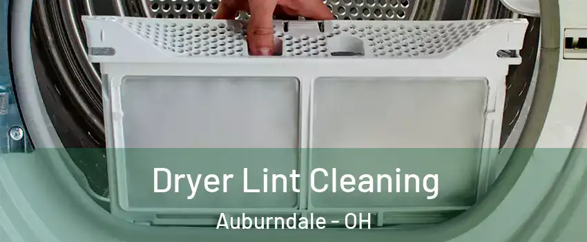 Dryer Lint Cleaning Auburndale - OH