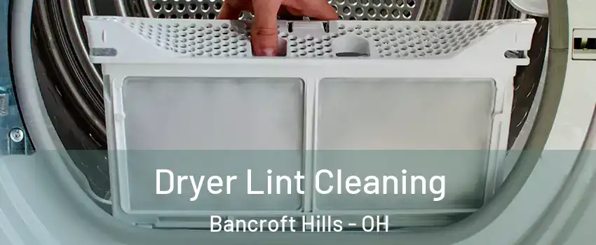 Dryer Lint Cleaning Bancroft Hills - OH