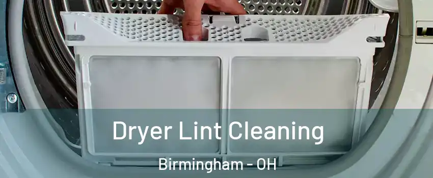 Dryer Lint Cleaning Birmingham - OH