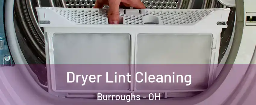 Dryer Lint Cleaning Burroughs - OH
