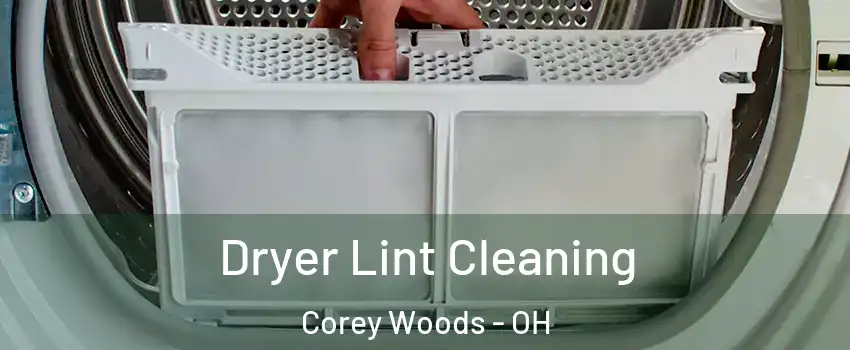Dryer Lint Cleaning Corey Woods - OH